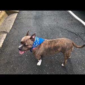 Meet your Posher, Carlie